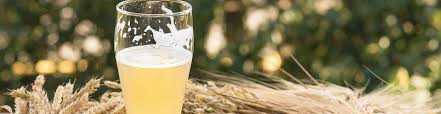 CERVEZAS DE TRIGO